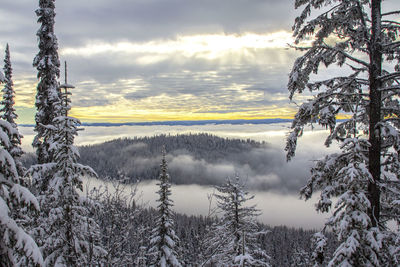 Scenic view of snow covered land against sky during sunset