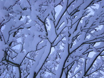 Full frame shot of snow