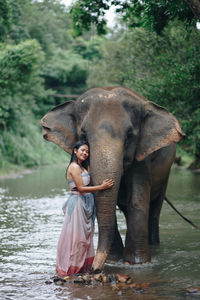 Full length of elephant in water