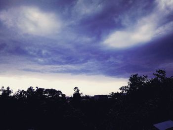 Low angle view of silhouette trees against sky