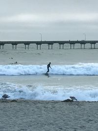 Man walking on beach against sky