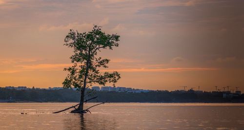 Scenic view of sea against sky during sunset