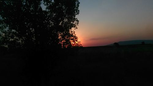 Silhouette trees on landscape against sky at sunset