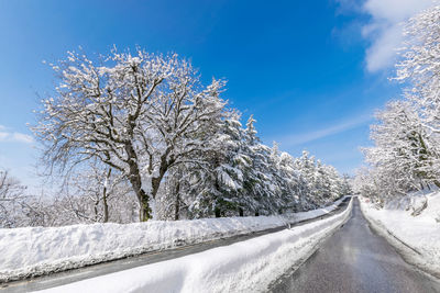 Snow covered road amidst trees against blue sky