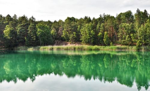 Scenic view of lake by trees against sky