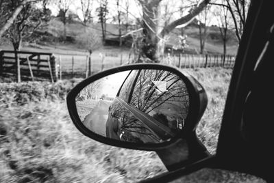 Close-up of side-view mirror