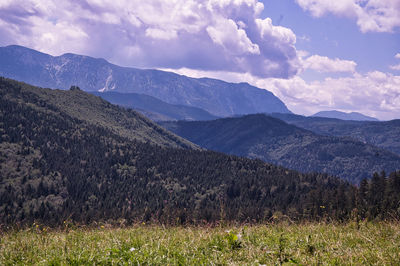 Scenic view of field against sky