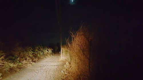 Narrow walkway at night
