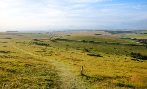 Scenic view of agricultural field against sky