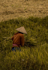 Man working in field