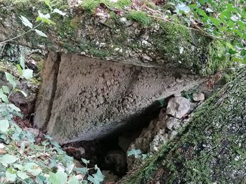 High angle view of stone wall