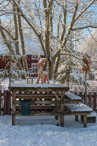 Man sitting on bench in snow