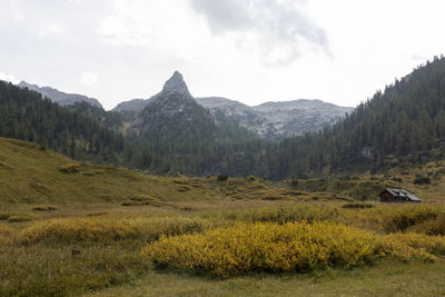 Schottmalhorn mountain at funtensee, kärlingerhaus, berchtesgaden national park in autumn