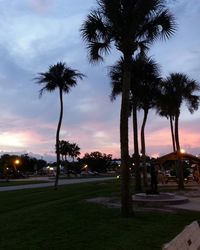 Palm trees against sky at sunset