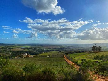 Scenic view of agricultural field against sky