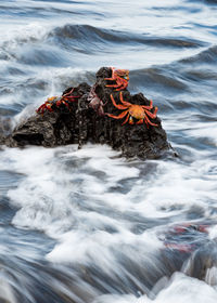 High angle view of water splashing in sea