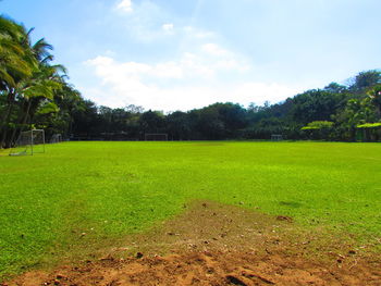 Trees on field