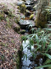 View of water flowing through rocks