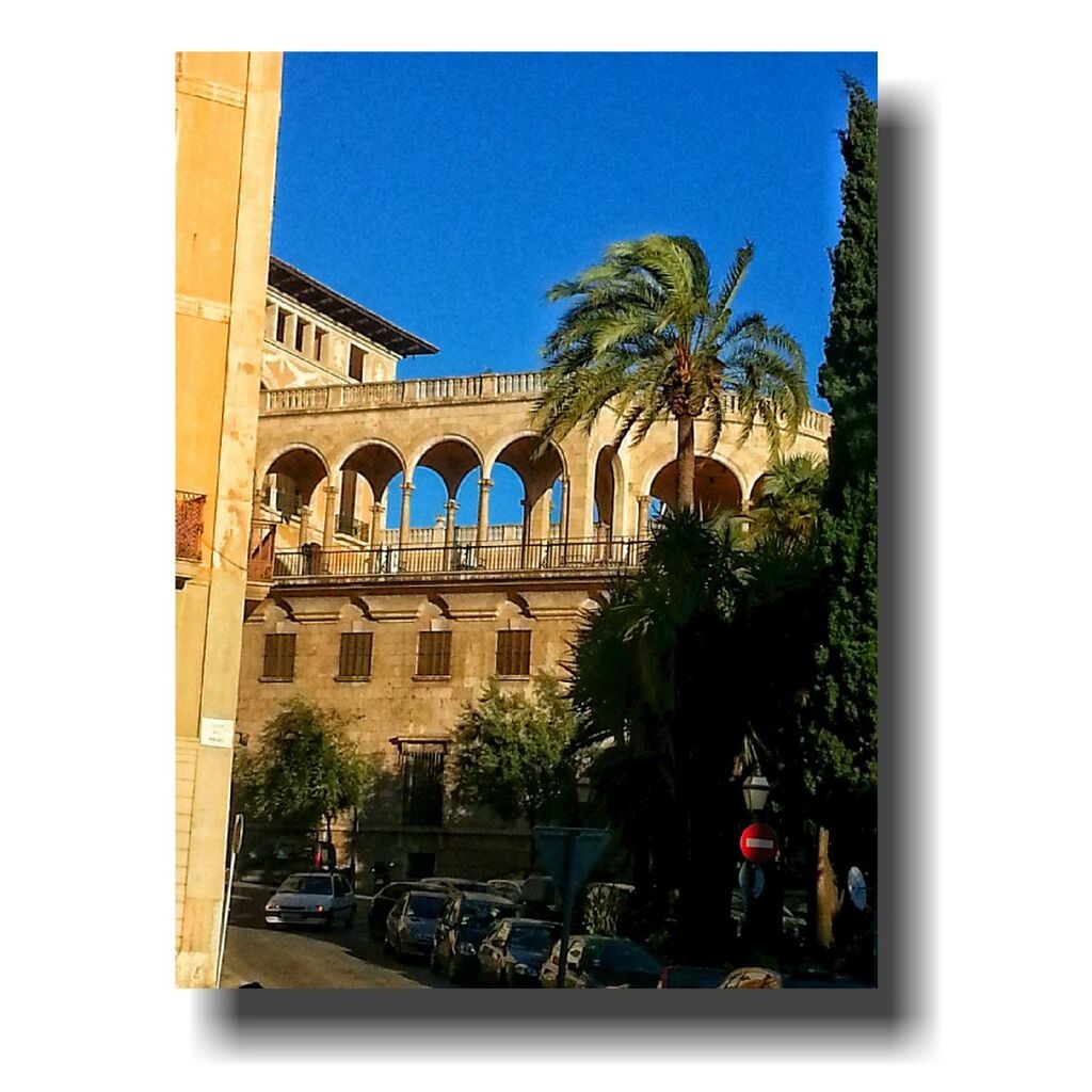 transfer print, architecture, built structure, building exterior, clear sky, auto post production filter, tree, palm tree, city, building, car, blue, window, day, low angle view, sunlight, potted plant, growth, glass - material, outdoors