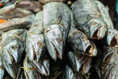 Close-up of fish for sale at market stall