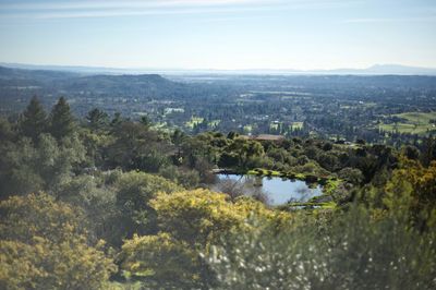 Scenic view of lake by trees against sky