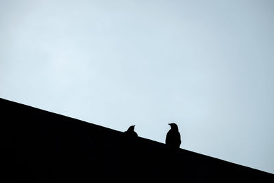 Low angle view of bird perching on roof against sky