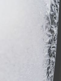 Close-up of snow