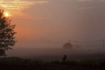 View of trees on landscape