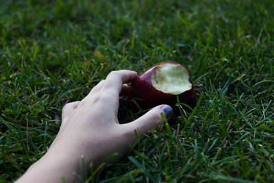 People on grassy field