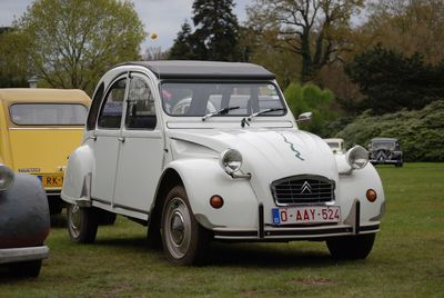 Vintage car on field