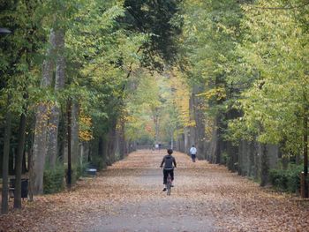 Rear view of person riding bicycle on road amidst trees