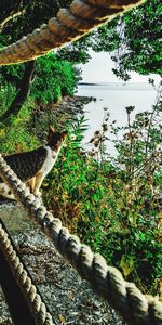 View of squirrel on tree trunk