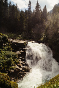 Scenic view of waterfall in forest