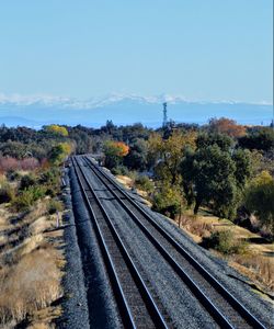 Railroad tracks by trees against clear sky