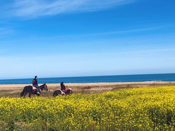 By qinghai lake, two horse riders passing by a field of cole flowers.