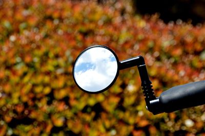 Close-up of bicycle mirror against bush