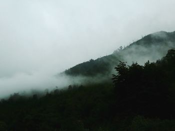 Scenic view of trees and mountains against sky