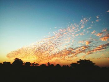 Low angle view of silhouette trees against sky during sunset