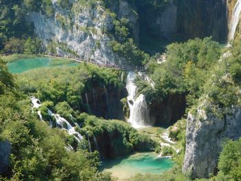 Scenic view of waterfall in forest