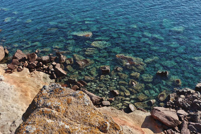 High angle view of rocks on beach