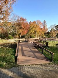 Trees in park against sky during autumn