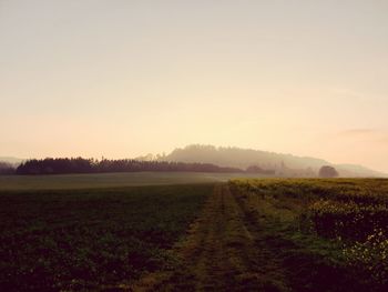 Scenic view of field against sky during foggy weather