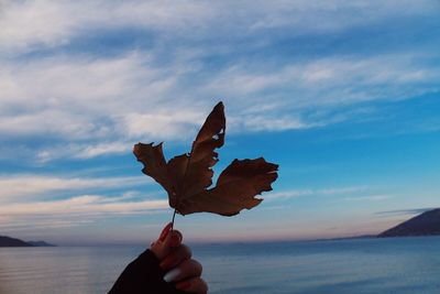 Person in sea against sky