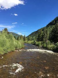 Scenic view of river amidst trees against blue sky