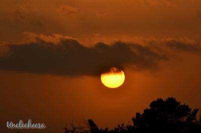 Scenic view of sunset