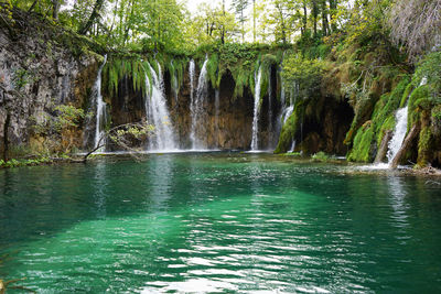 Scenic view of waterfall in forest