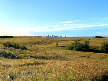 Scenic view of field against sky