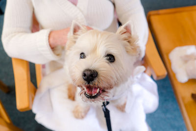 Portrait of dog