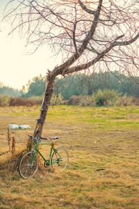 Bicycle on field against trees