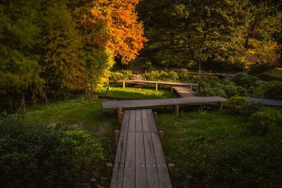 Bench in park during autumn